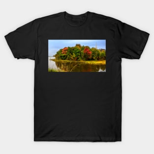 Autumn in Mabou T-Shirt